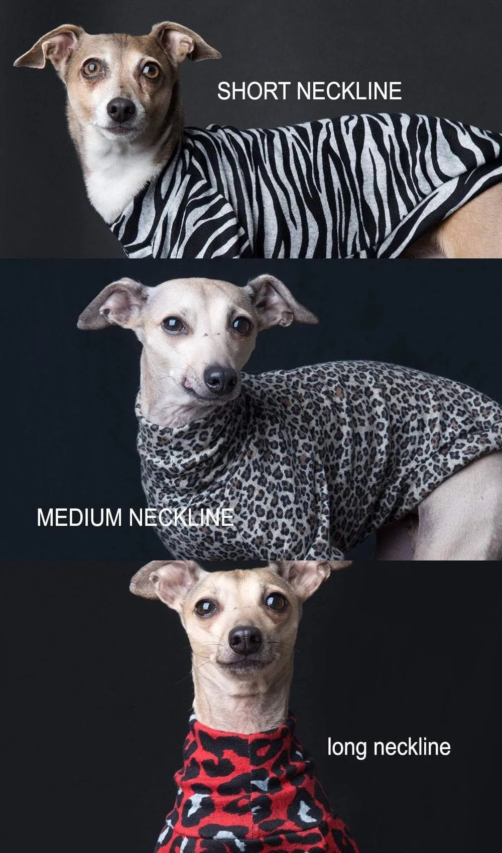 Chandail, pull, tshirt col long, medium ou court pour lévrier italien ou autres races de chien; motifs léopard beige, brun et noir