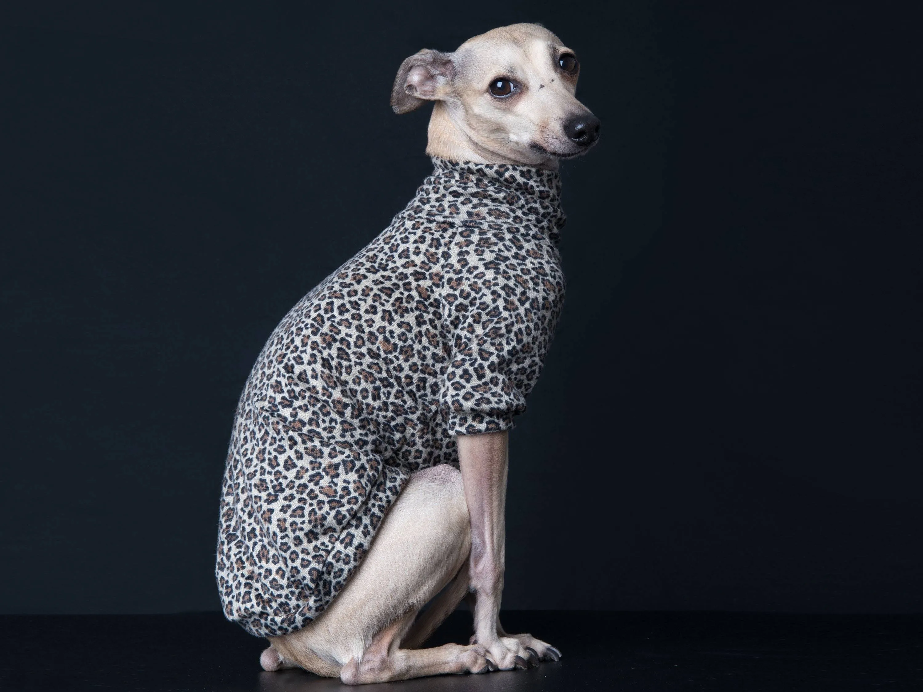 Chandail, pull, tshirt col long, medium ou court pour lévrier italien ou autres races de chien; motifs léopard beige, brun et noir