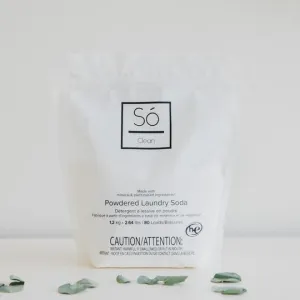 Clean - Powdered Laundry Soda (Case)
