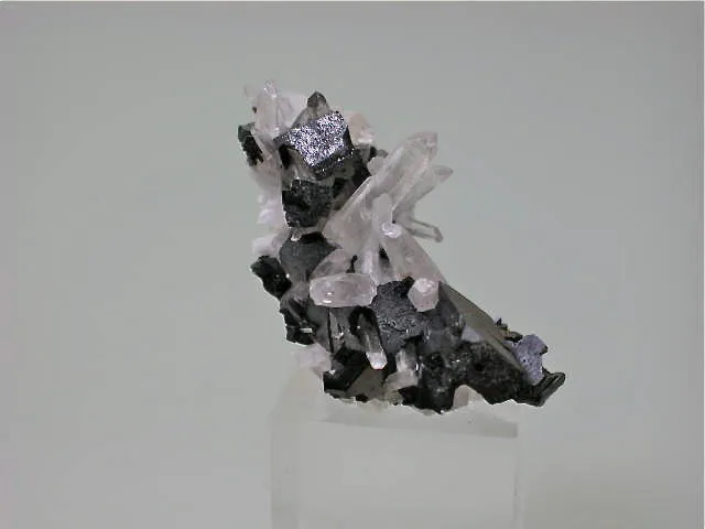 Hubernite with Quartz, Labor Teo, Mundo Nuevo Mine, Huamachuco La Libertad, Peru, Mined 2009, Miniature 1.5 x 2.5 x 3.8 cm, $25. Online 11/2 SOLD
