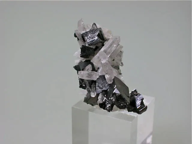 Hubernite with Quartz, Labor Teo, Mundo Nuevo Mine, Huamachuco La Libertad, Peru, Mined 2009, Miniature 1.5 x 2.5 x 3.8 cm, $25. Online 11/2 SOLD