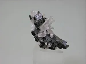 Hubernite with Quartz, Labor Teo, Mundo Nuevo Mine, Huamachuco La Libertad, Peru, Mined 2009, Miniature 1.5 x 2.5 x 3.8 cm, $25. Online 11/2 SOLD