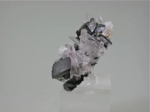 Hubernite with Quartz, Labor Teo, Mundo Nuevo Mine, Huamachuco La Libertad, Peru, Mined 2009, Miniature 1.5 x 2.5 x 3.8 cm, $25. Online 11/2 SOLD