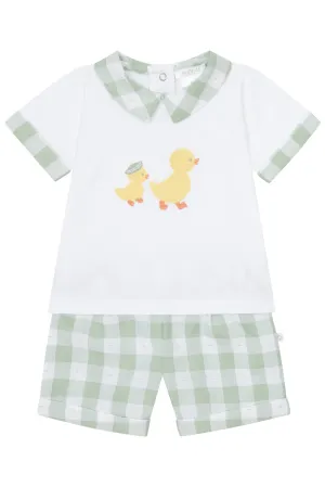 PREORDER "Ethan" Sage Green Gingham Shirt & Shorts