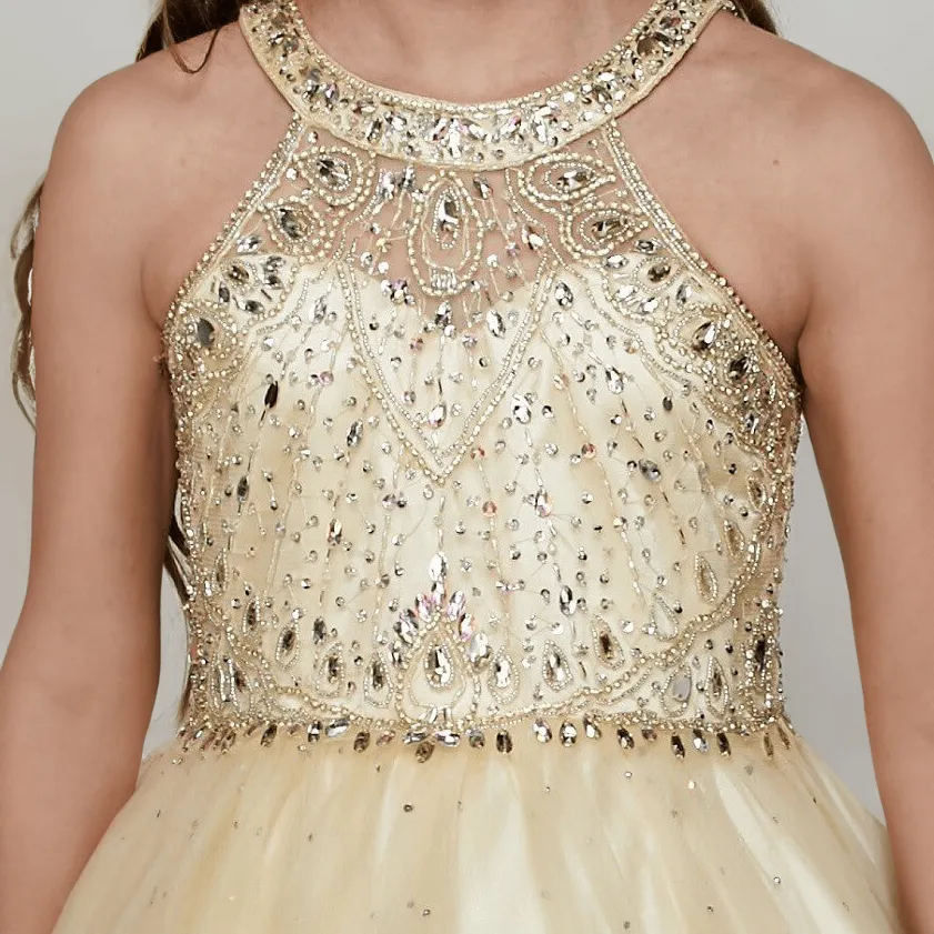 Princess Verity Gown - Black