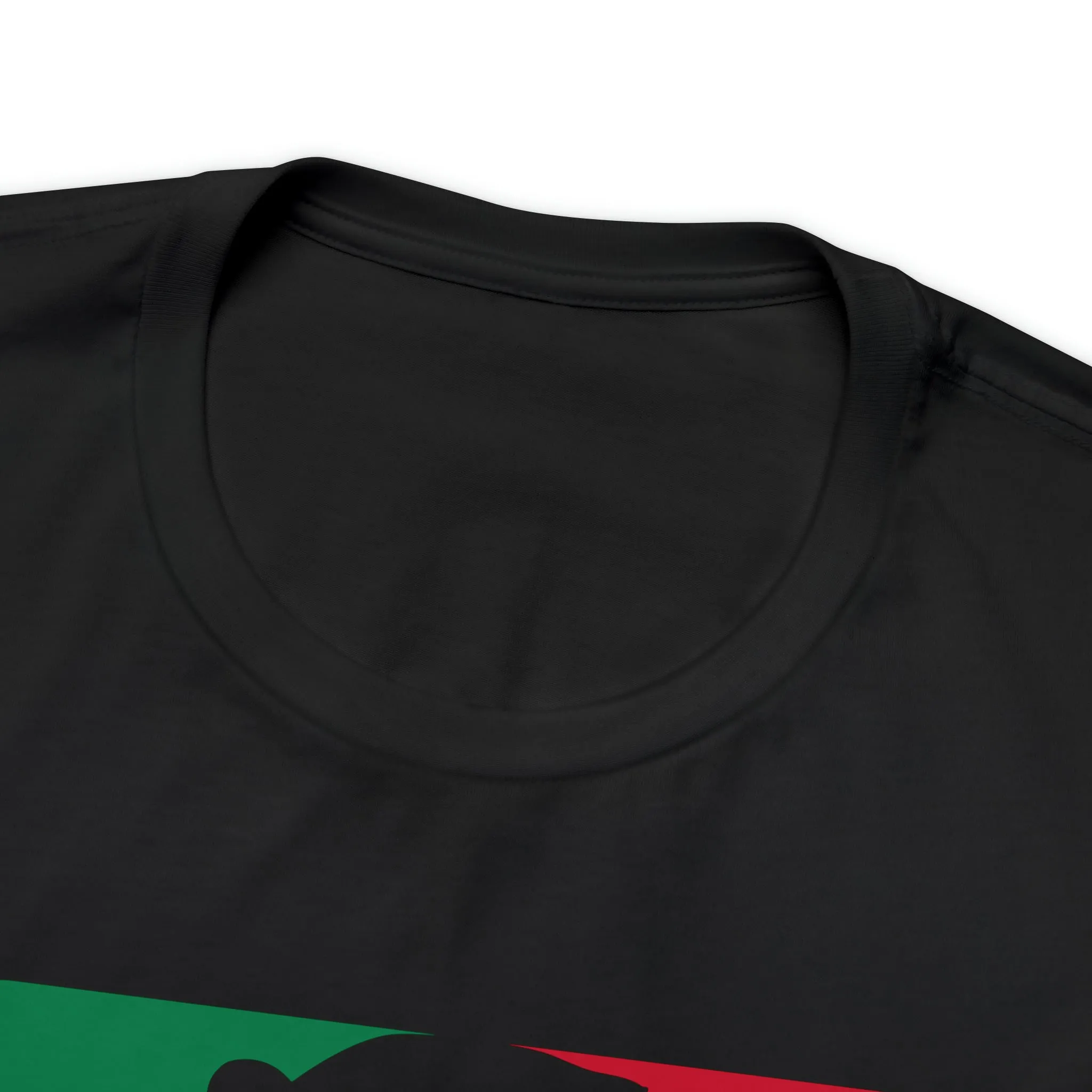 Salah Africa Jersey T-Shirt v1