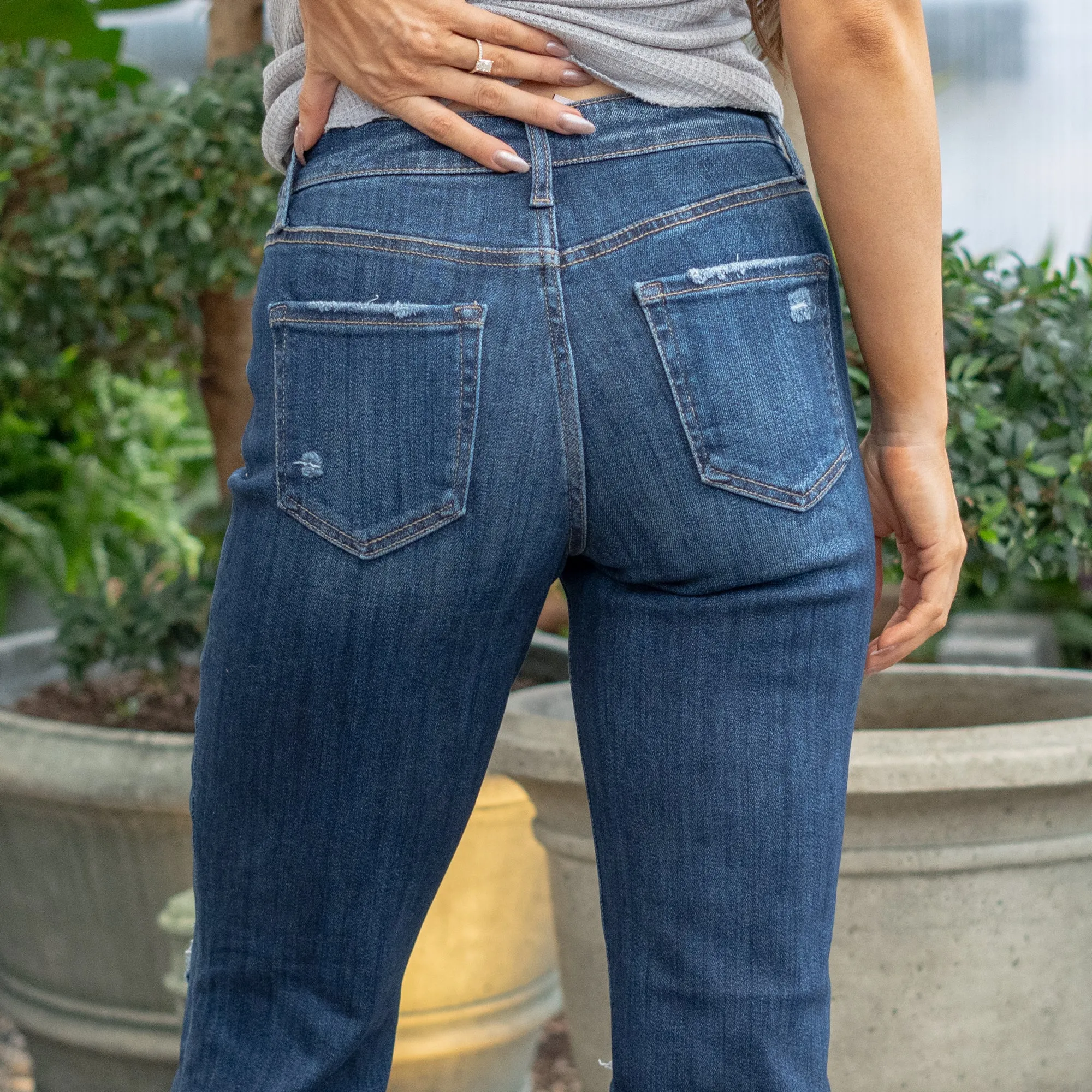 Ultra Crisp High Rise Cropped Straight Leg Regular & Plus Sizes